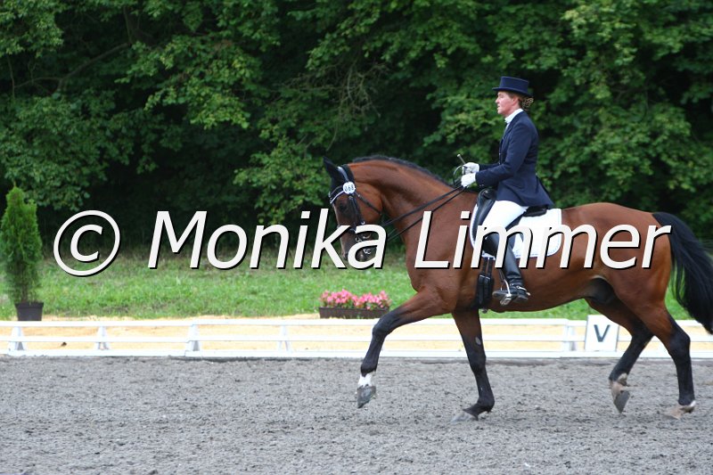 009M2588_Herodes_Dressur Mxx.JPG